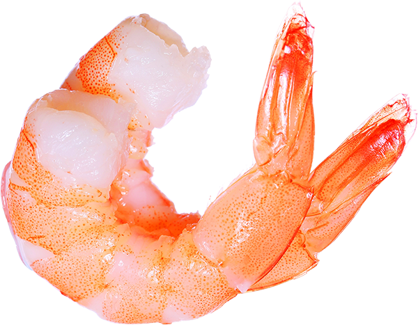 Camarón