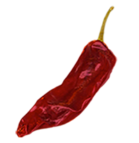 Chile
